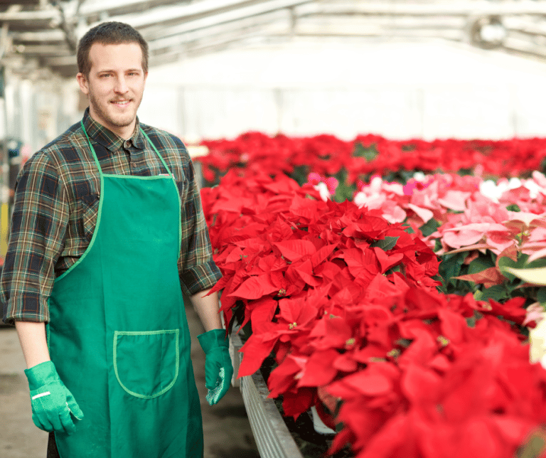 Seasonal Workers And Workers’ Comp HammondTownsend