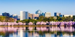 NOVA Office Skyline