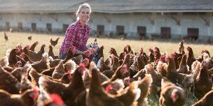 Harrisonburg Farmer